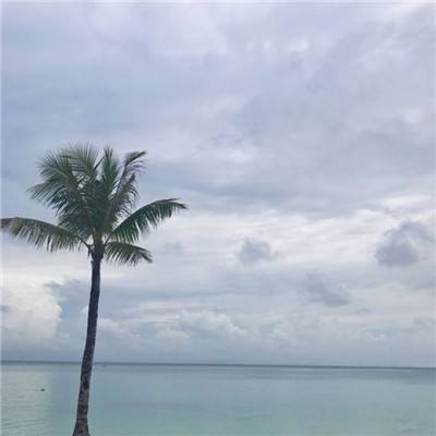 戮仙战纪手游果盘版下载